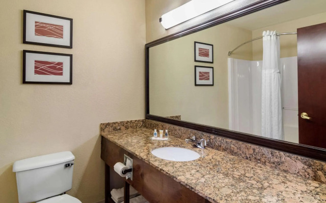 Comfort Inn & Suites Suwanee - Sugarloaf