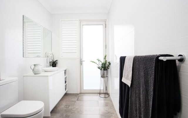 Wilber Wonder (H736)