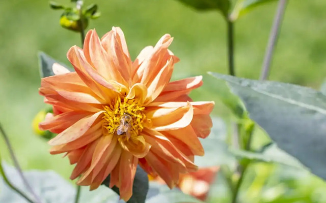 Tucurinca Hotel & Spa