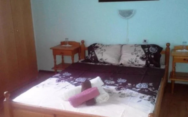 Veselata Guest House