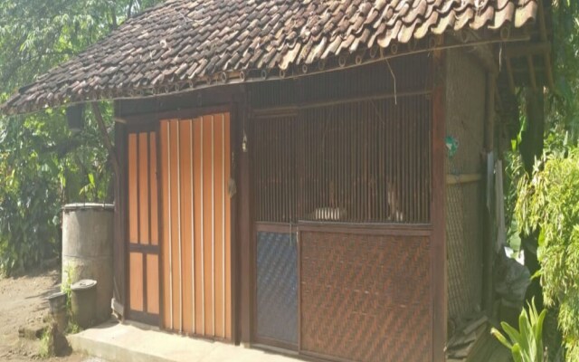 Penginapan Salsa