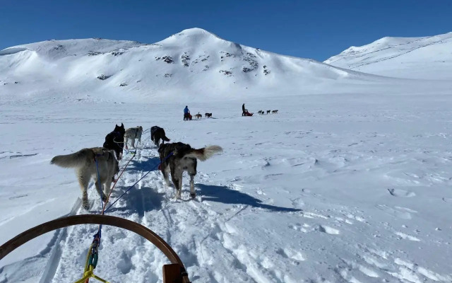 Jotunheimen Husky Lodge