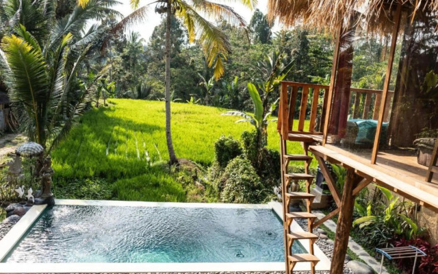 Bali Bamboo Jungle Huts And Hostel