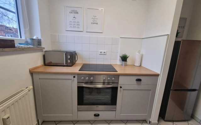 Leipzig Residenz Goethe Apartment mit Whirlpool und 2 Dachterrassen