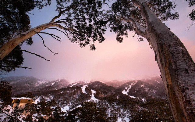 Thredbo Alpine Hotel