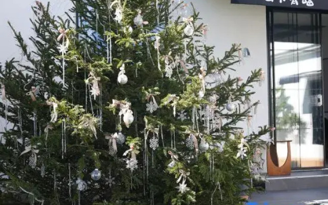 The Juno's Mew-Mew Hotel