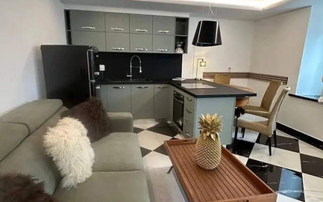 Unique Losone Apartment