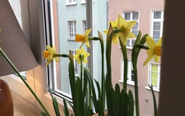 Close to Shakespeare