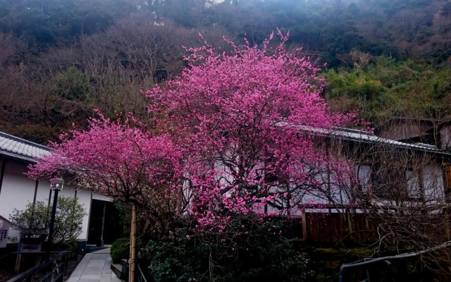 Beppu Onsen Beppu Showaen