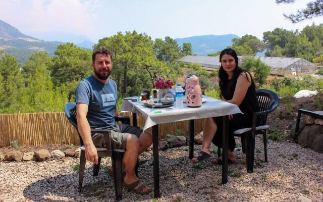 Evergreen Glamping