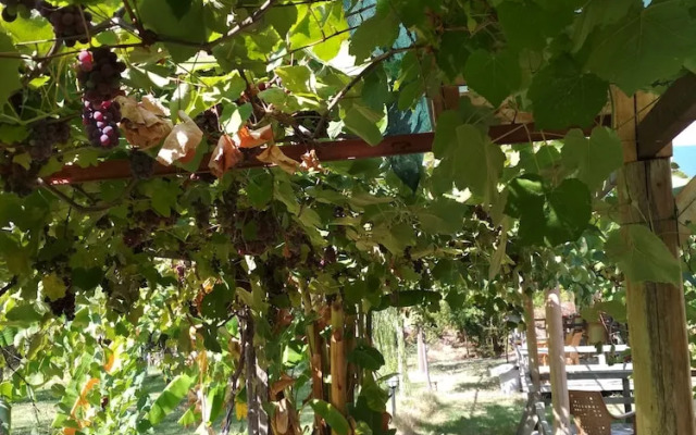 Yesil Bahce Bungalow - Ahsap Evler