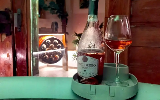 Vineyard cottage Matej