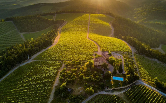 Ormanni nel Chianti Classico