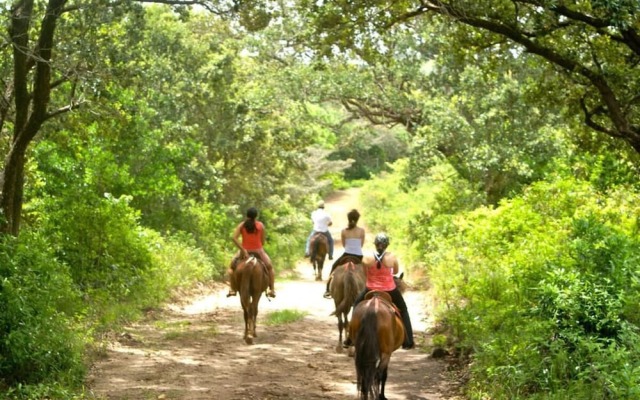 Vida Aventura Ranch