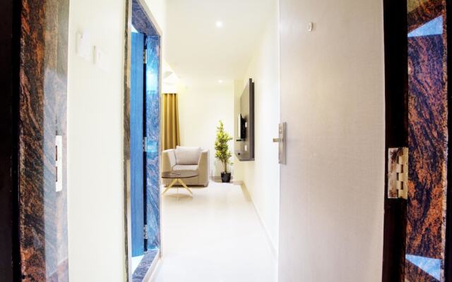 Treebo Trend Olive Tree