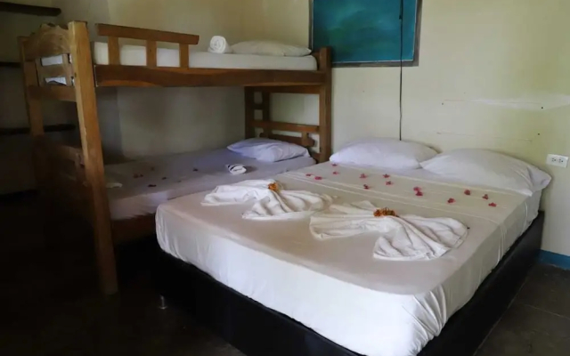 Ecohotel La Cocotera - Hostel