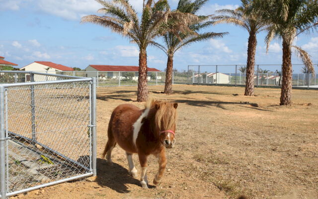 AJ Resort Island Ikeijima