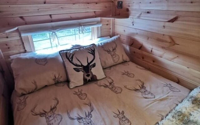 The Cabin at Ashleigh House