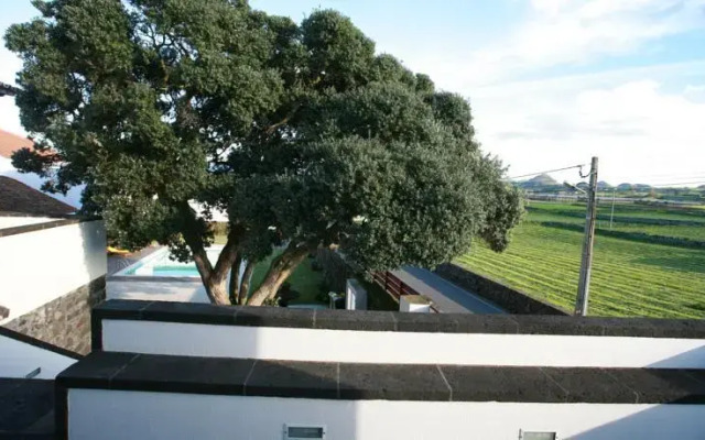 Casa da Árvore
