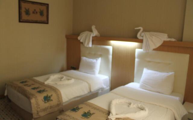 Grand Ali'n Hotel Turhal