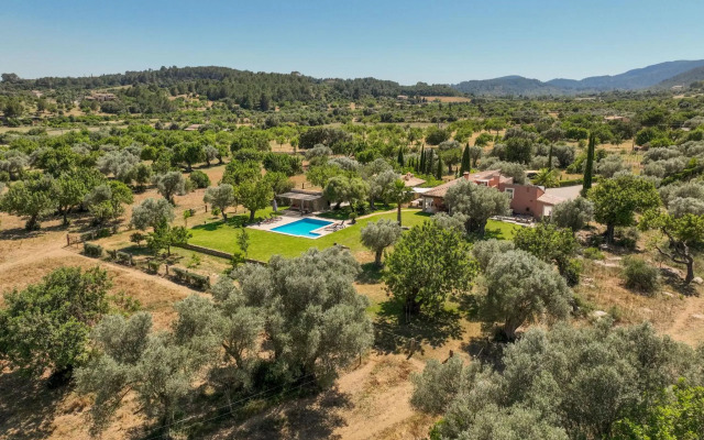 Selva - 3890, Mallorca