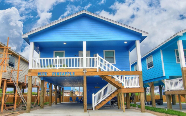 Blue Pineapple House