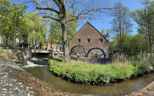 Domaine du Vieux Moulin