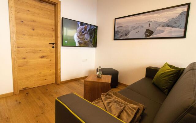 Modern apartment in the citycenter of Mariapfarr