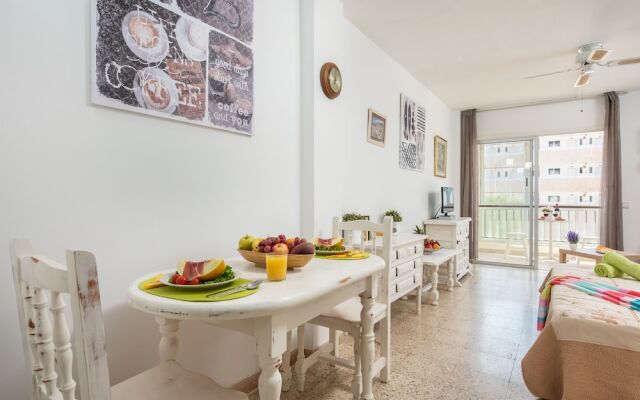 530 Big Studio with Terrace