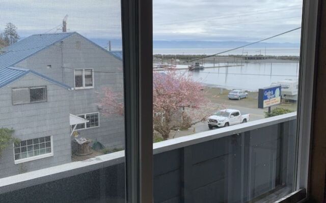 Curley's Resort & Dive Center