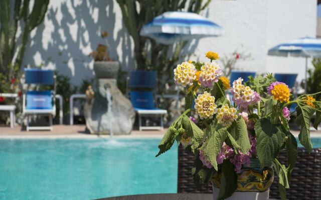 Room in B&B - Forio With a Breathtaking View, for 2people