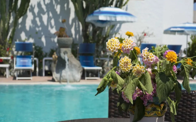 Room in B&B - Ischia With Breathtaking Views, Near Poseidon for 3