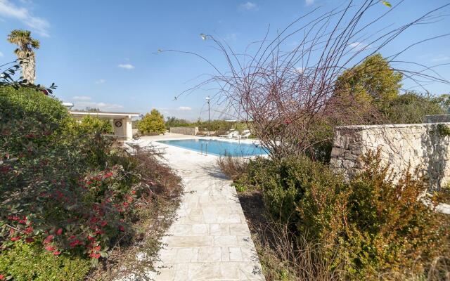 Mono Mercury - Casarano