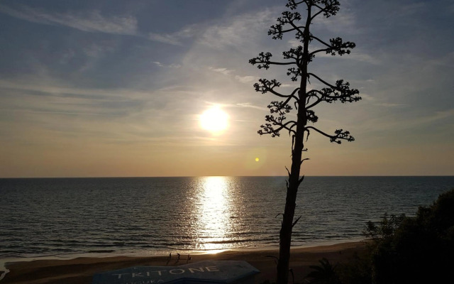 Poggio degli Oleandri