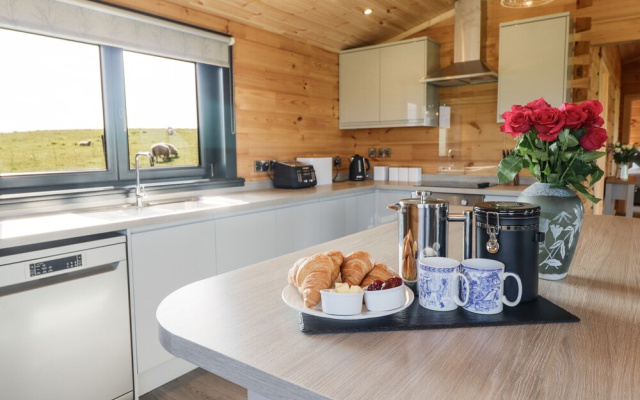 Bacheiddon Log Cabin