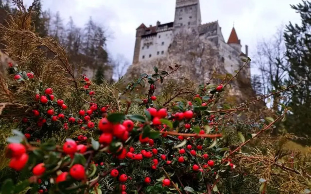 Pensiunea Antonio Bran