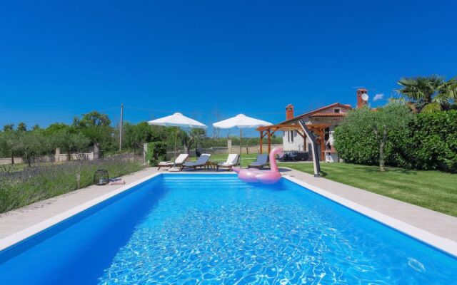 House Blog 2 Dorio