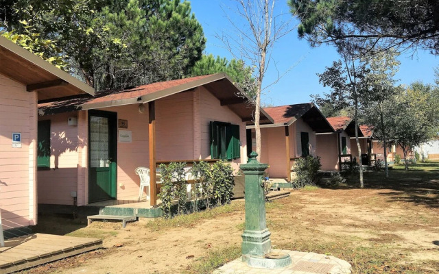 Room in Bungalow - Greenchalets Bungalow Tuscany Viareggio