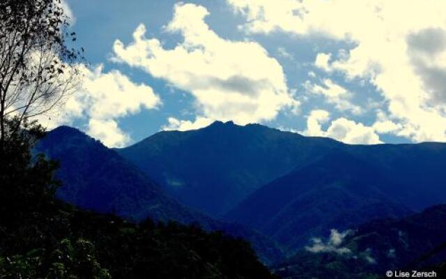 Bosque del Tolomuco