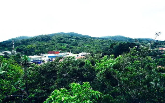 Hummingbird House B&B