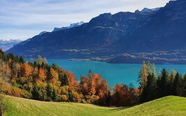 Apartment Chalet Beatrice Share