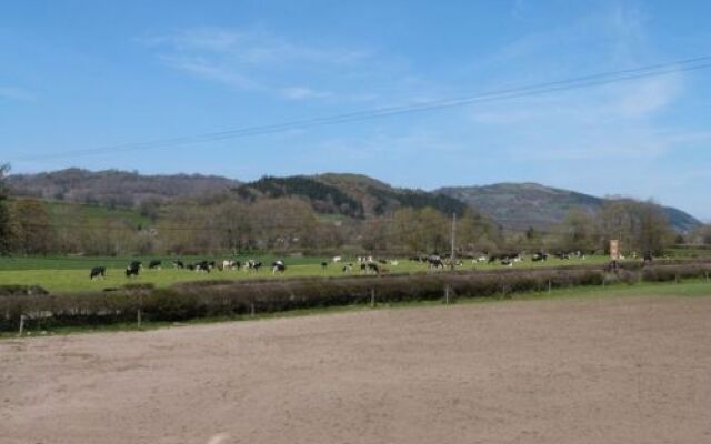 Bwthyn Bach 15569