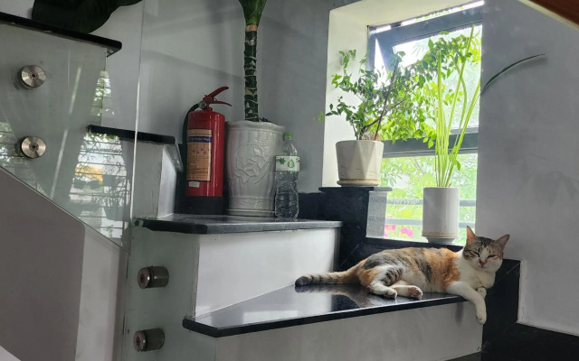 Sena home 3rd-Overlooking Danang Dragon bridge-Han river