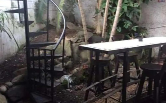 Palm Tree Hostal Medellin Colombia