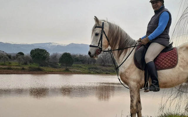 The Ranch - Lodge & Equestrian Center