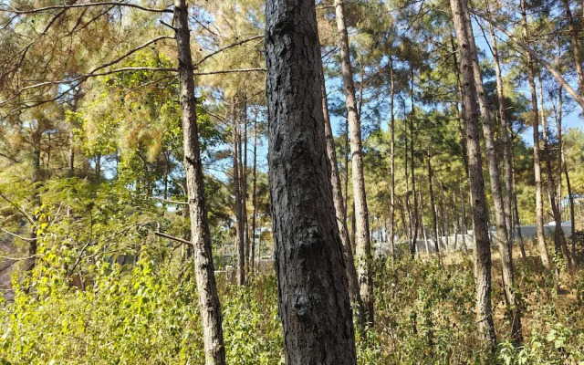 XTSY Travellers Hostel