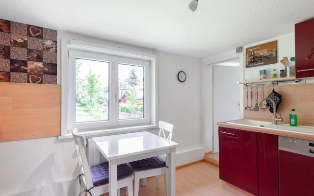 Apartment in Benneckenstein Near Ski Lift