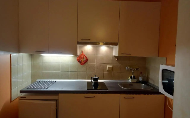 Panoramis apartment in Schladming