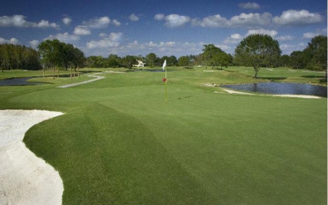 Saddlebrook Golf Resort & Spa Tampa North - Wesley Chapel