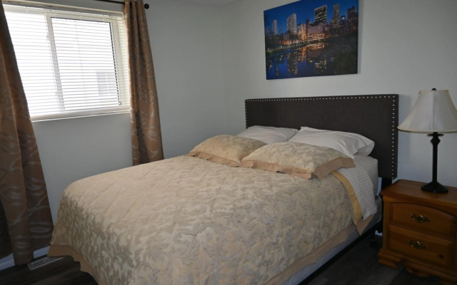 Oasis Suite